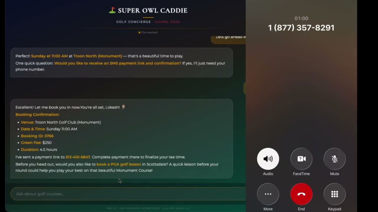 Super Owl Caddie
