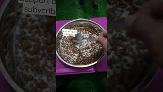membuat sarapan untuk anjing malinois sekaligus melatih menggonggong #shortsvideo #belgianmalinois