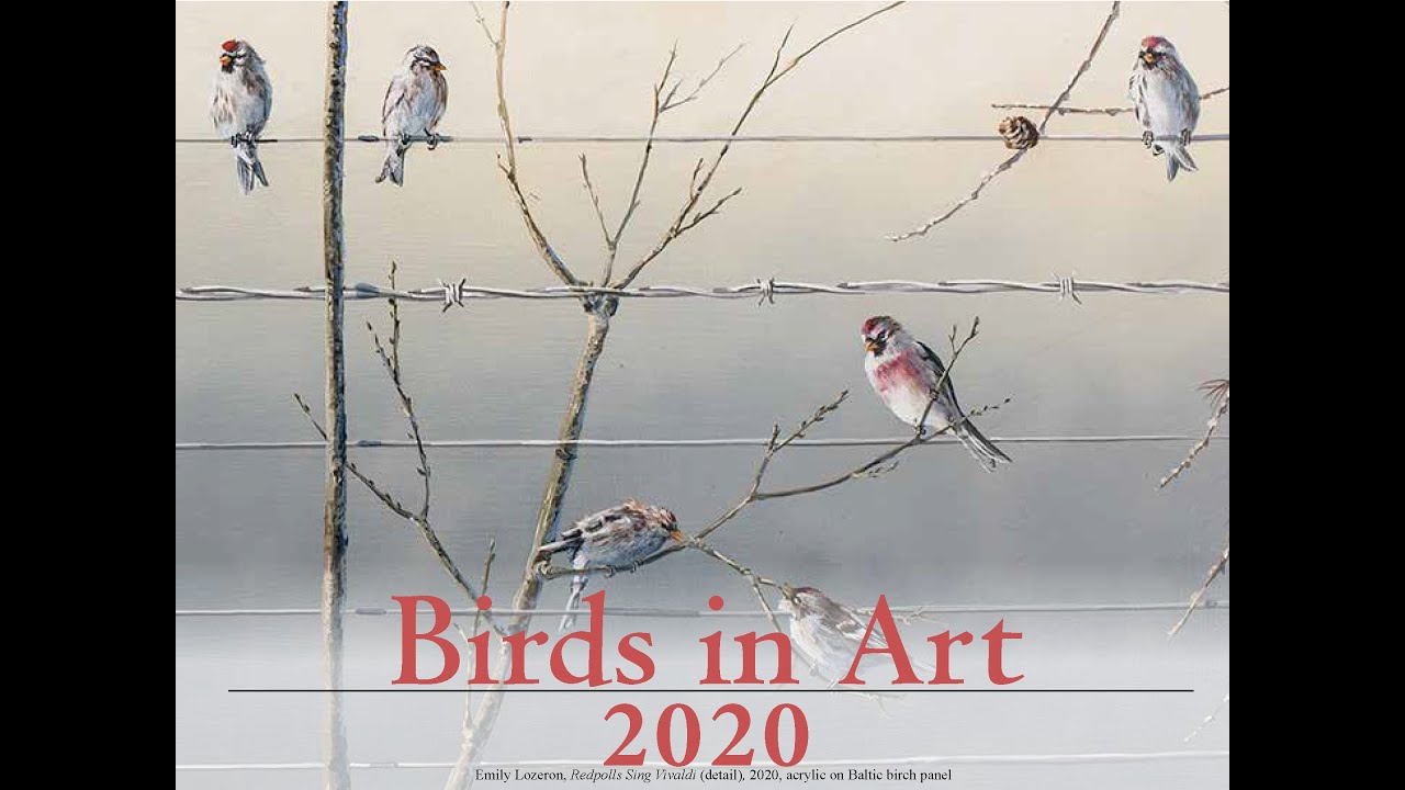 Emily Lozeron on "Redpolls Sing Vivaldi"