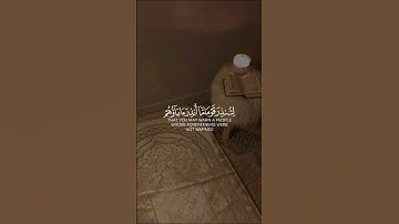 القرآن الكريم ❤ #القرآن #صلوا_على_النبي #ﷺ #عيد_مبارك #اكسبلور #ترند #fypシ #fyp #viral #video #short