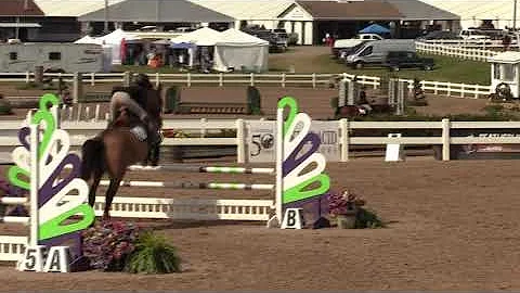 Video of FORGET ME KNOT ridden by ANNA DONOVAN fro...