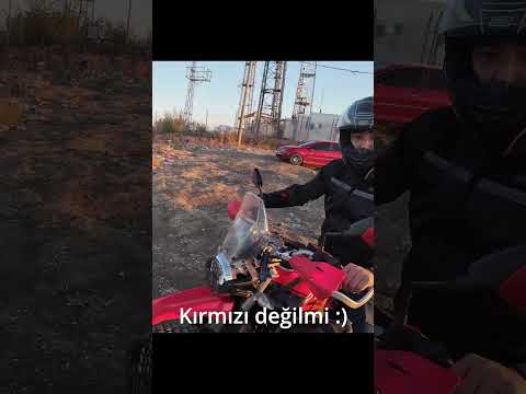 Yunus iş başında :)