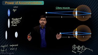 Human Eye - Power of Accommodation of Human Eye - (Chapter 13): CBSE Class 10 Science