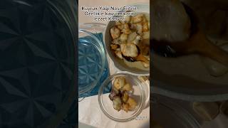 Kuyruk Yağı (Iç Yağı) Nasıl Eritebiliriz?Ve Nasıl Saklanır?