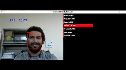Real-time facial expression recognition using convolutional neural networks