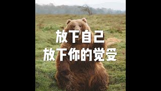 201807 放下自己　放下你的觉受50398