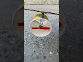 Home made Air plane testing ¦ amazing air craft #airplane