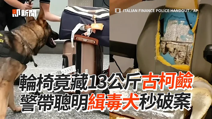轮椅藏13公斤古柯碱　聪明缉毒犬秒破案｜义大利｜米兰｜狗｜工作犬 - 天天要闻