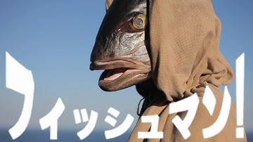 Principles of Geometry - Hauntitled (Official Video)