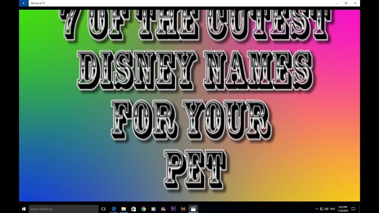 7 of the cutest disney names for your pet - YouTube