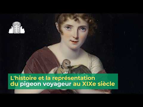 The History and Representation of the Homing Pigeon in the 19th Century | ENS-PSL