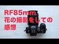Canon 85mm F2STMで花の撮影をしての感想＆雑談