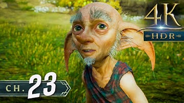 Hogwarts Legacy [4K/60fps HDR] (100%, Platinum, Hard) Part 23 - The Elf, the Nab-Sack, and the Loom