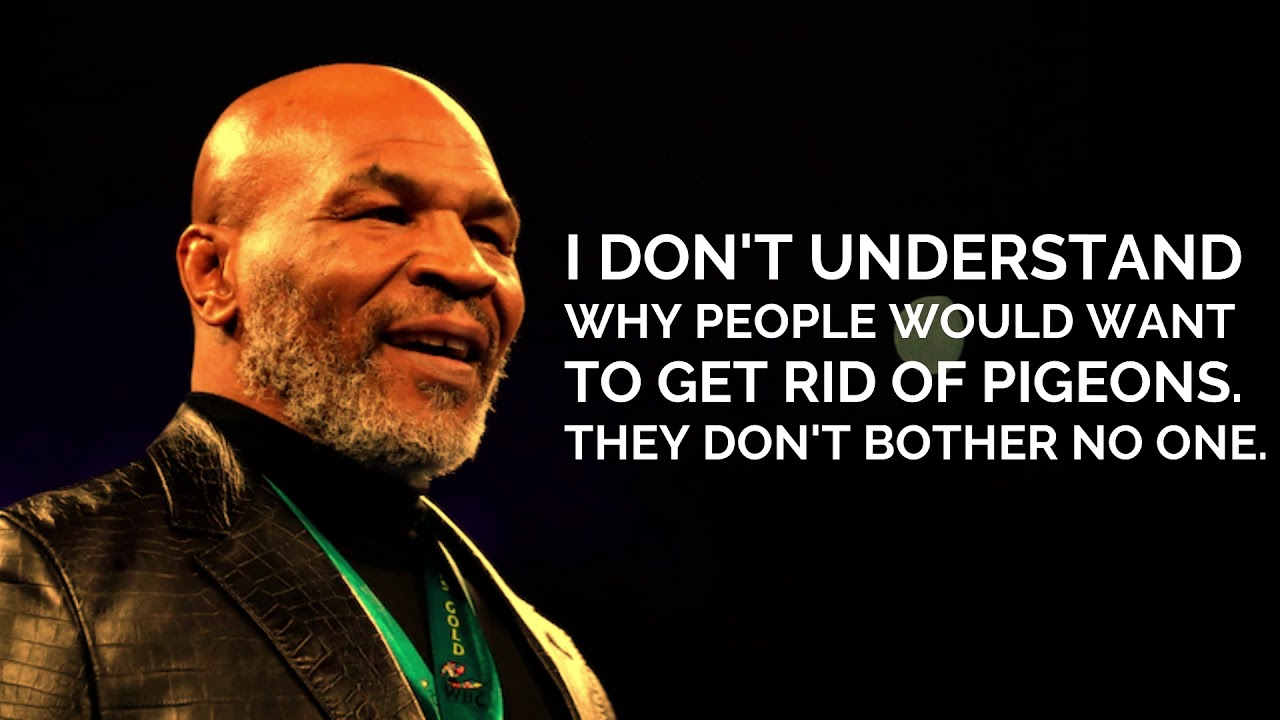 Mike Tyson 10 Inspirational Quotes YouTube