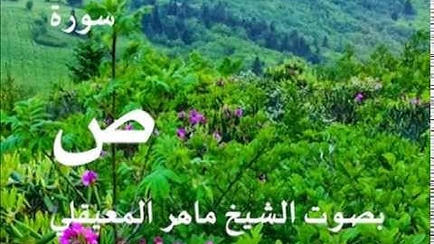 سورة ص بصوت الشيخ / ماهر المعيقلي 38