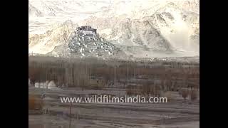 Stok palace, Leh, Jammu & Kashmir