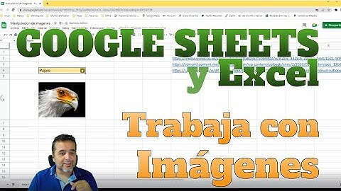 Google Sheets y Excel | Trabaja con Imágenes en celda | ¡Nueva fórmula! | Muy útil.