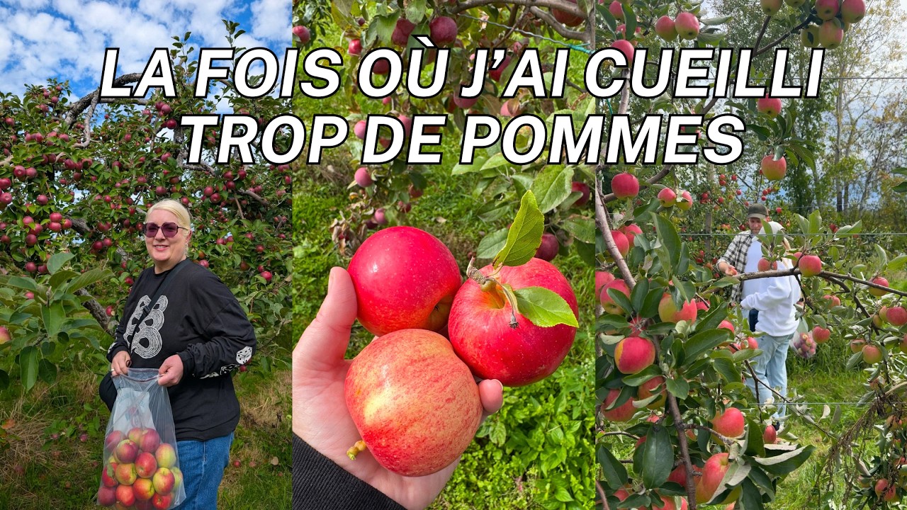 COMMENT AVOIR UNE JOURNÉE PARFAITE AUX POMMES - CUEILLETTE ENTRE AMIS AU QUÉBEC - VLOG COZY