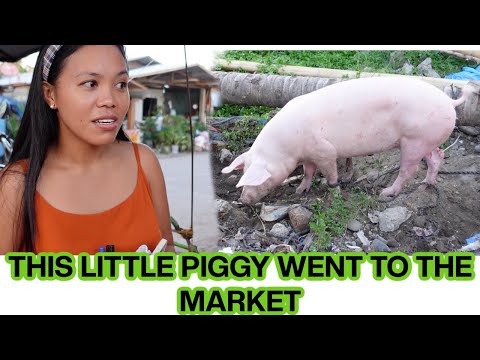 Slaughtering and Processing a Pig (baboy) by a butcher at our homestead | Philippines