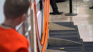 Largest Hot Wheels track loop: Ford breaks Guinness World Records record