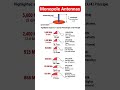 Monopole antenna sizing and applications