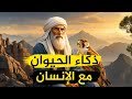 صقر أنقذ صاحبه من الموت بطريقة عجيبة ذكاء الحيوان مع الإنسان أجمل قصص الذكاء والدهاء