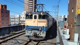 [PF代走隅田川シャトル] 4月2日南浦和駅 新鶴見A119運用 74レ EF65 2083①  