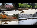 [4K]京都の四季(春夏秋冬)の写真集(Four season,Spring summer fall winter in Kyoto)