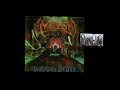Amnesia – Unknown Entity – Vinyl (LP, Album), 1991 [r2758154