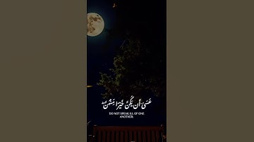 سورة الحجرات آية 10-11