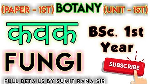 (Lt-07) FUNGI (कवक) Unit-1 || Botany 1st Paper B.Sc. 1st Year