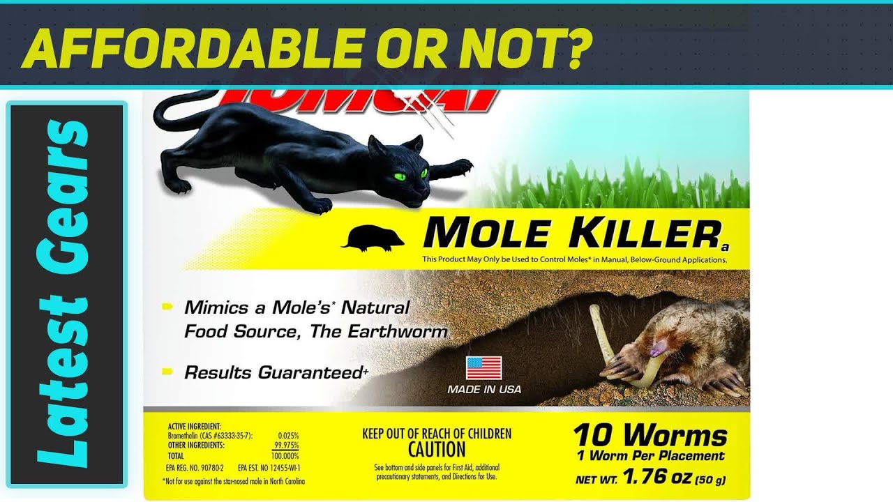Tomcat Mole Killer: Ultimate Solution? Testing This Poison!