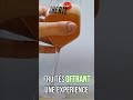 Biere Cherie Mediterranee Bieresbelgesartisanales Biere Beer Bieresbelges Biere Cherie Mediterranee Bieresbelgesartisanales Biere Beer Bieresbelges