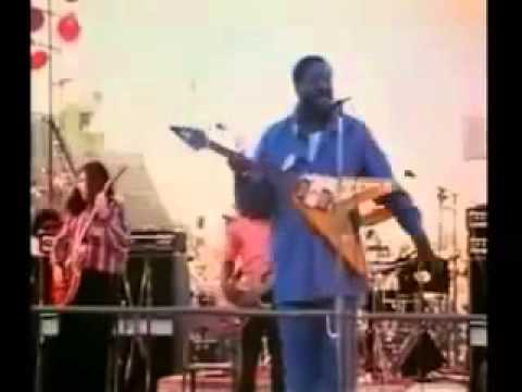 Albert King - I'll Play The Blues For You