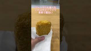 愛媛にきたらこの名物は食べておこう！ shorts 愛媛 じゃこ天 じゃこカツ 食べ歩き テイクアウト おすすめ グルメ 人気