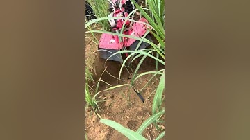 Máy vun mía xới đất đa năng hàng Nhật bãi các bác quan tâm lh 0986813417