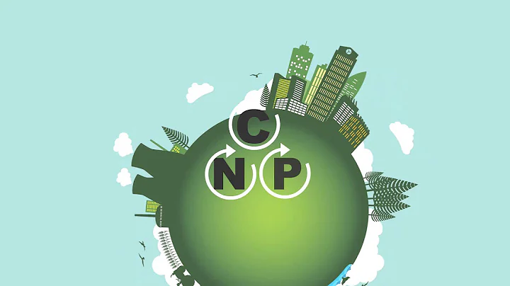 CNP+ Cycles - Understanding the Carbon, Nitrogen and Phosphorus cycles