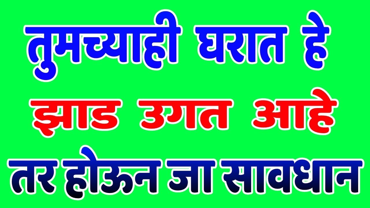 तुमच्याही घरात हे झाड उगत आहे तर होऊन जा सावधान marathi vastu shastra tips... YouTube