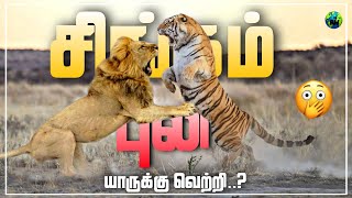 சிங்கம் vs புலி சண்டையில யாருக்கு வெற்றி கிடைக்கும்..? Lion vs Tiger who will win? Tamil | BioWorld