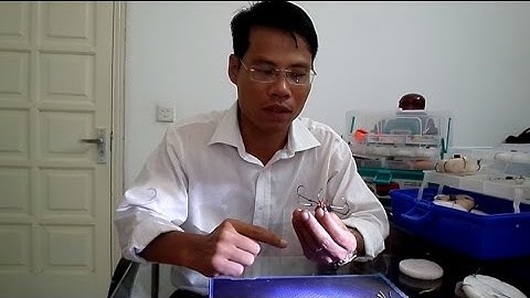 Hướng dẫn buộc lưỡi câu lục chống lật