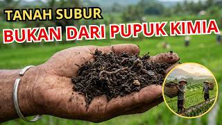 CARA PERMANEN BIKIN TANAH SUBUR TANPA PUPUK KIMIA !