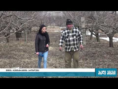 მიწის რეგისტრაციის პრობლემა შიდა ქართლში 09.02.2017