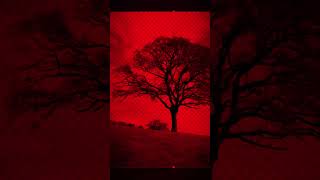 Tree Background Remove in Photoshop | Fast Selection with Integrated AI
