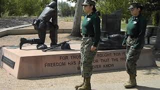 Virtual Veteran's Day 2020