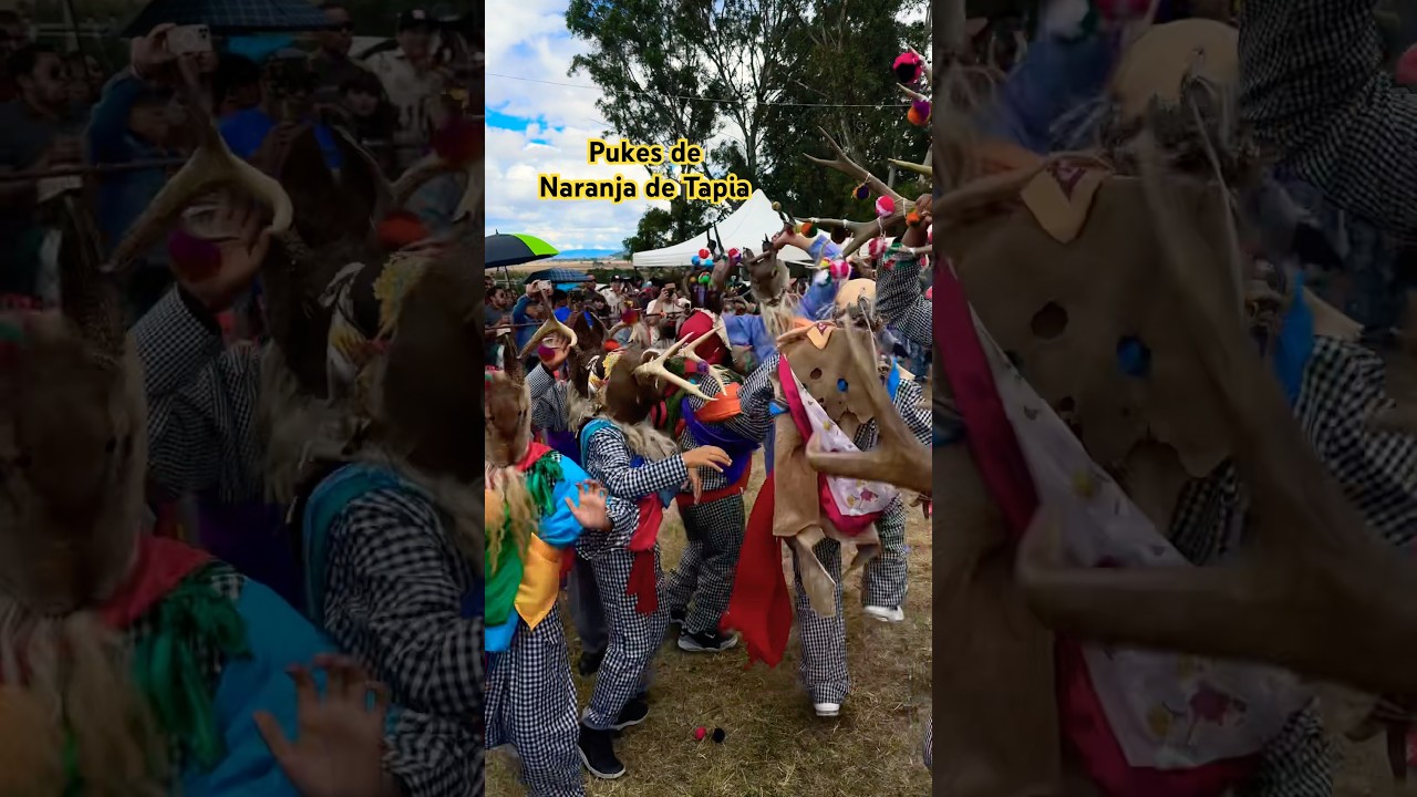#pukes de #naranjadetapia #2025 #tradición #viva