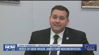 Herds of Deer Invading Neighborhoods in Jamestown, NY