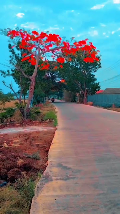 desa Gabuswetan kecamatan gabus wetan kabupaten Indramayu #indramayu