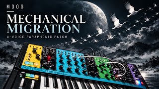 Moog Matriarch “Mechanical Migration” | 4-Voice Paraphonic Patch
