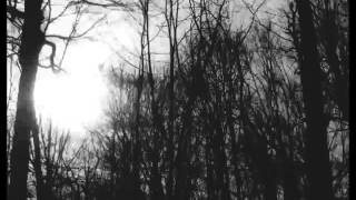 Blackcrowned - Haunted Lightless Lingering