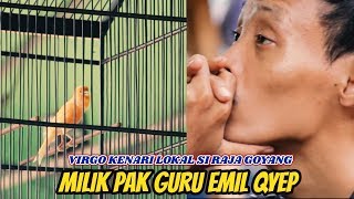 VIRGO Kenari Lokal Si RAJA GOYANG, Milik Pak Guru EMIL QYEP...!!!!!
